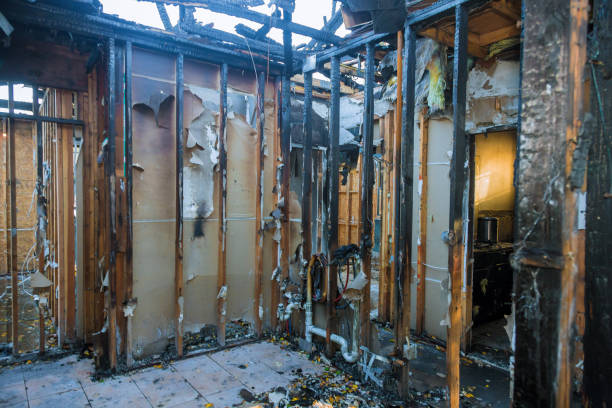 Professional Smoke Damage Removal technician working in César Chávez, TX